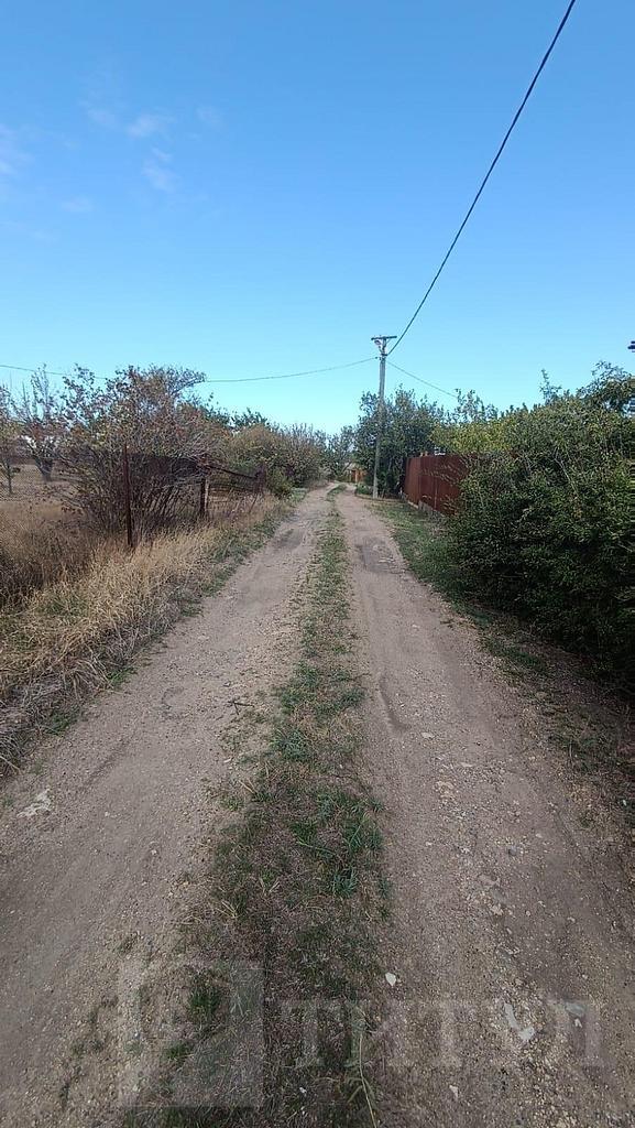 домрайон Фото 12