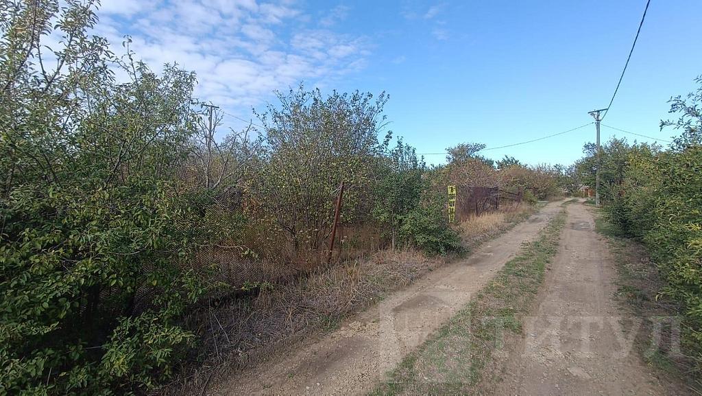 домрайон Фото 11