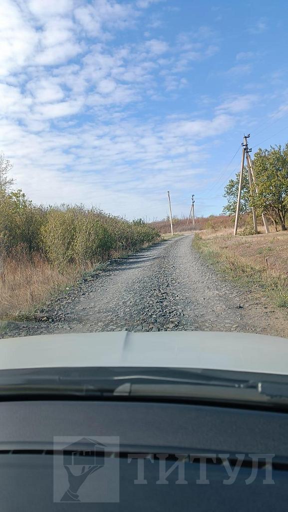 домрайон Фото 10