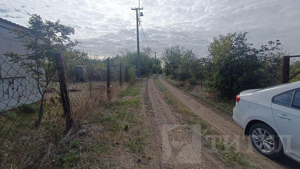 домрайон Фото 7