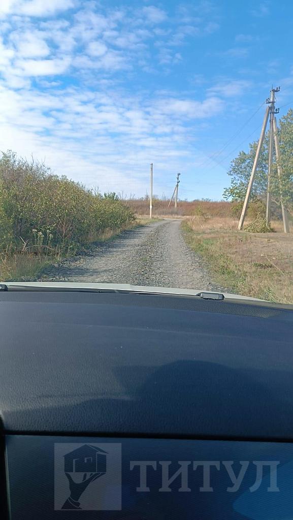 домрайон Фото 6