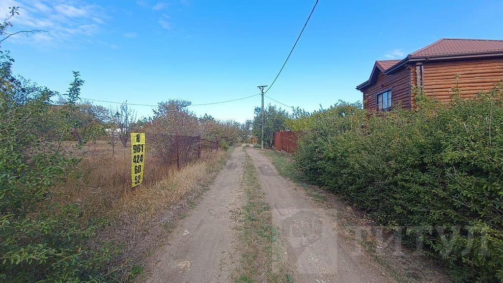 домрайон Фото 3