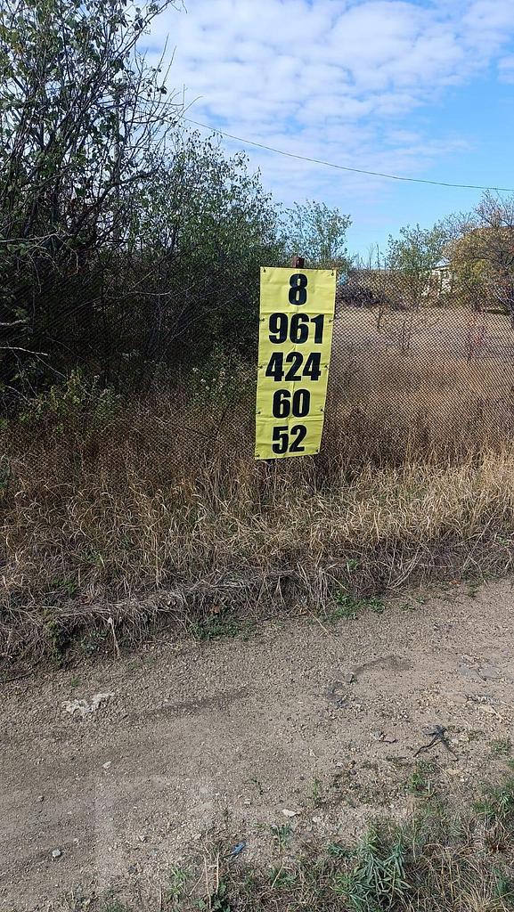 домрайон Фото 2