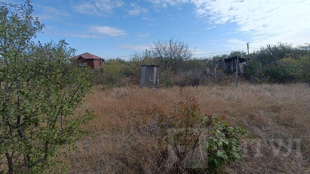 домрайон Фото 1