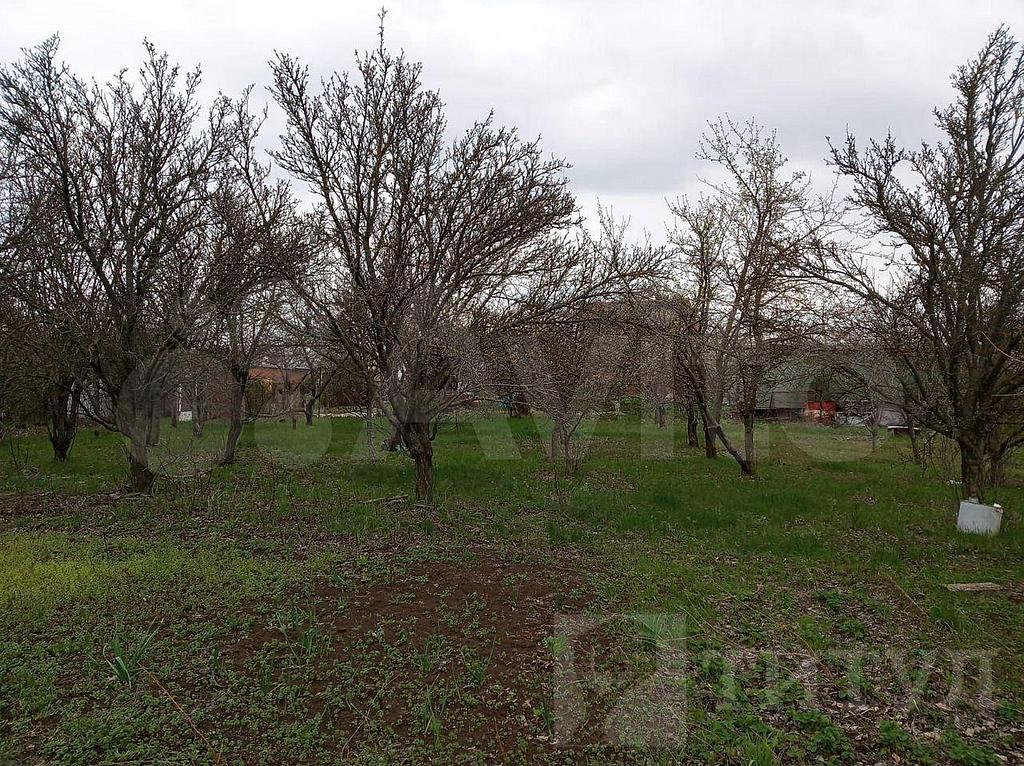 домрайон  Фото 8