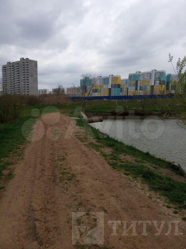 домрайон  Фото 7