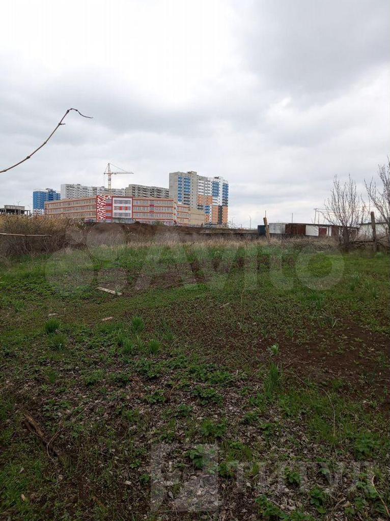 домрайон  Фото 6