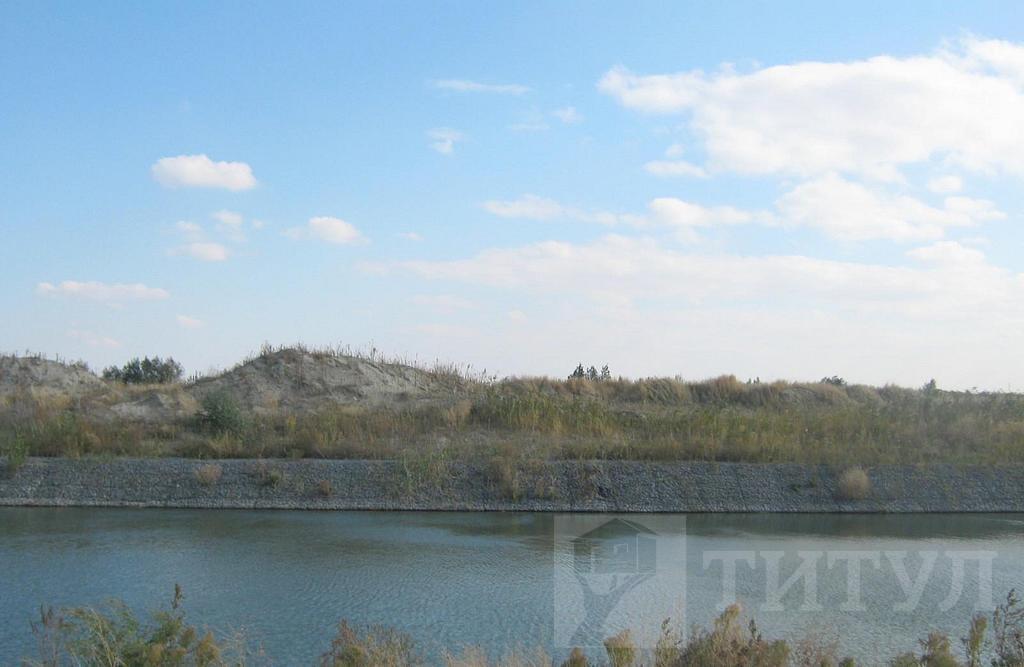 домрайон  Фото 18