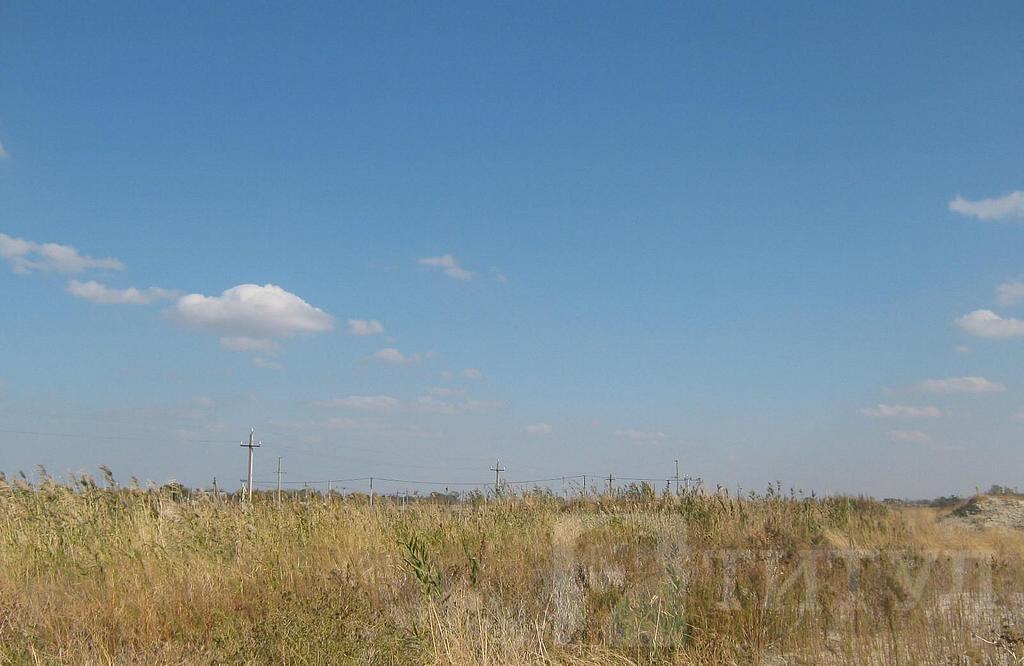 домрайон  Фото 27