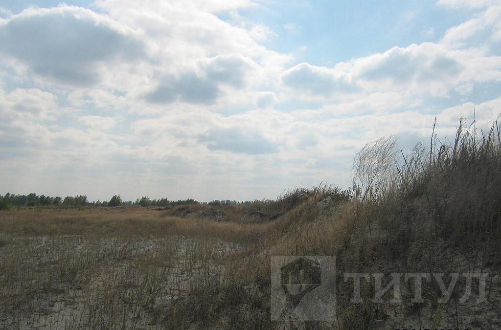 домрайон  Фото 24