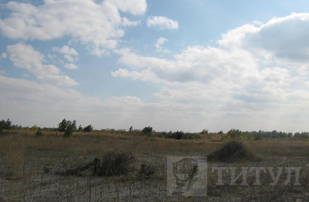 домрайон  Фото 22