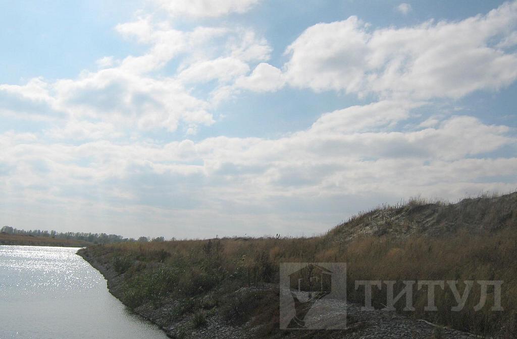 домрайон  Фото 13