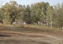 Thumb medium cce121a03544ea1b112ba47a5aa4f898