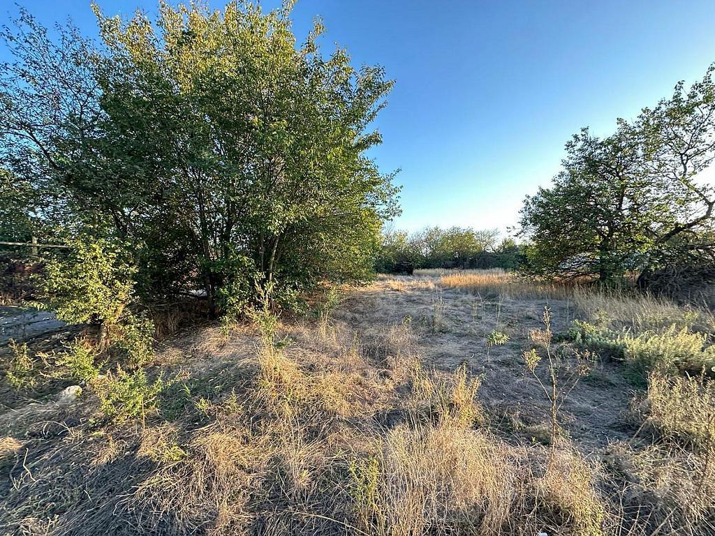 домрайон  Фото 9