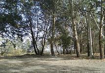 Thumb medium b44d2e0442a46100618b4bcf62666ad8