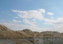 Thumb medium 3907c7d4ae445b8ee3b7a951b7878fb4