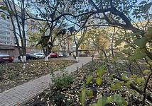 Thumb medium 3aedd2dfcea861bfb0499a9ec93bcf33