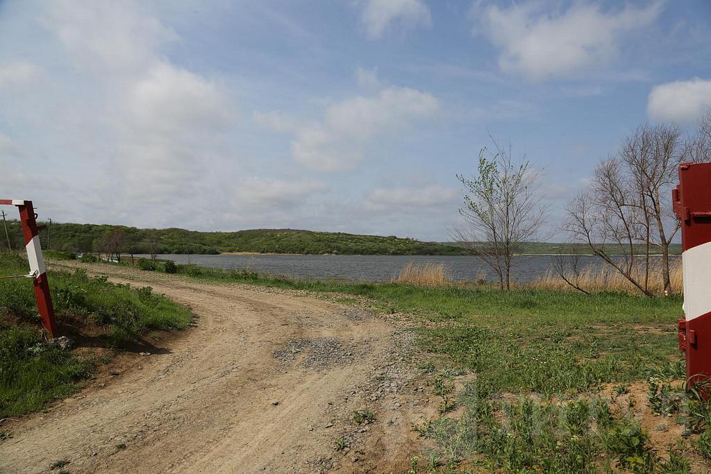 домрайон  Фото 2