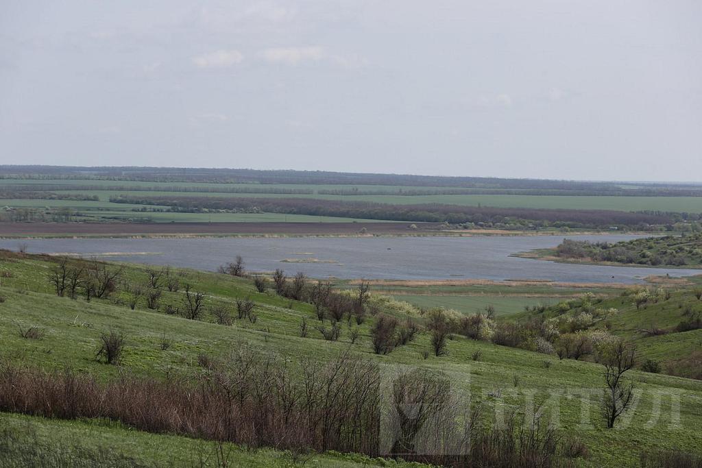 домрайон  Фото 1