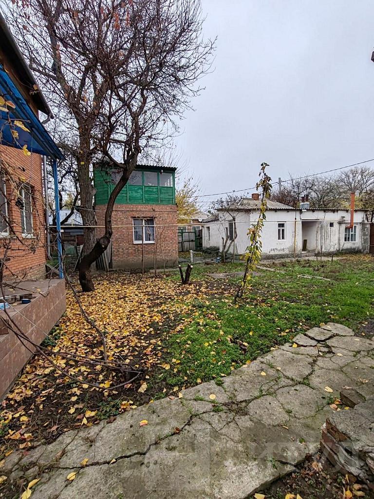 домрайон  Фото 5