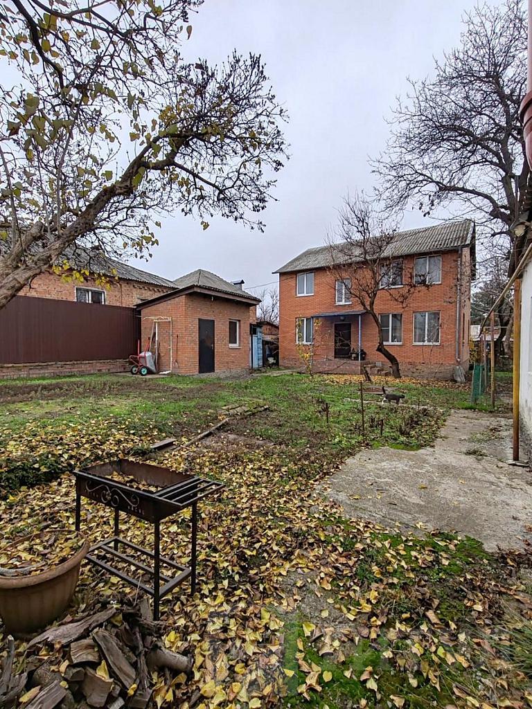 домрайон  Фото 1