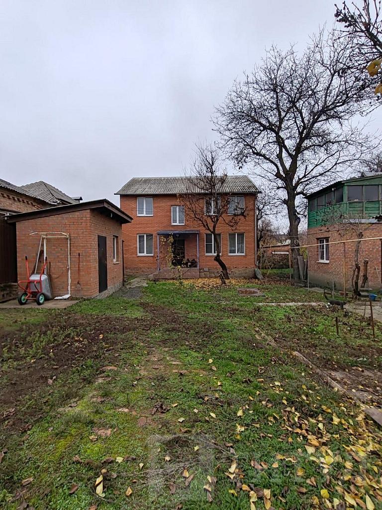 домрайон  Фото 3