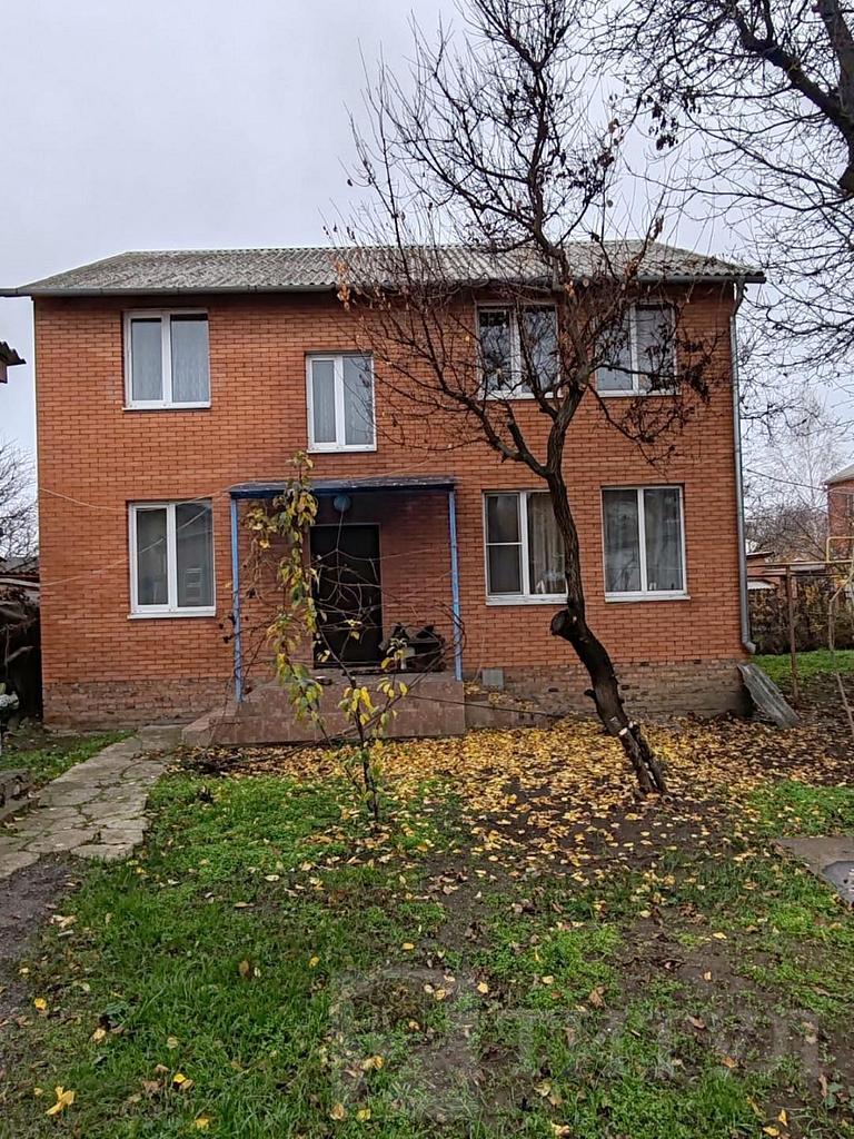 домрайон  Фото 2