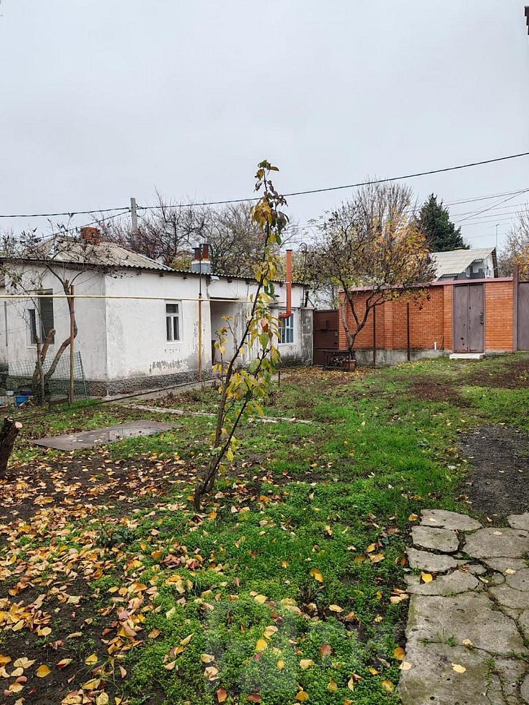 домрайон  Фото 6