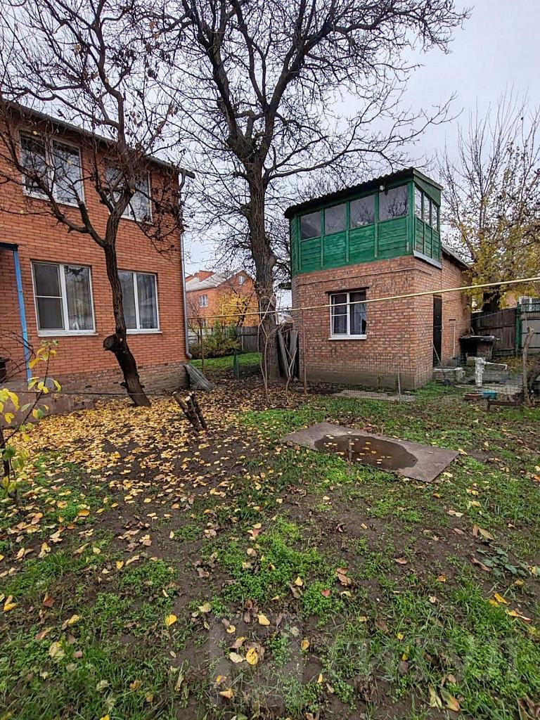 домрайон  Фото 4