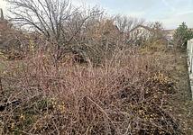 Thumb medium fbe8258af6fa497a5e497d5cd4e5c72a