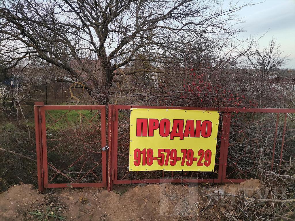 домрайон Фото 39