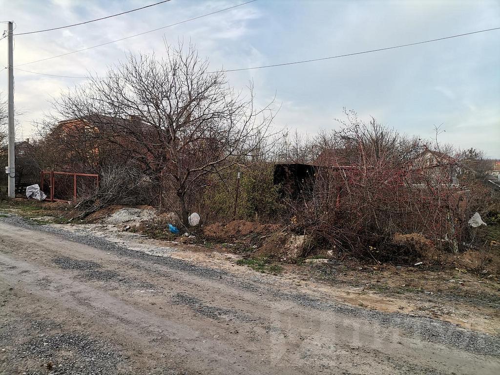 домрайон Фото 37