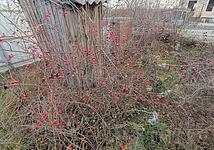 Thumb medium 1ca95325ffa1f9cbdbcd49c0b6800809