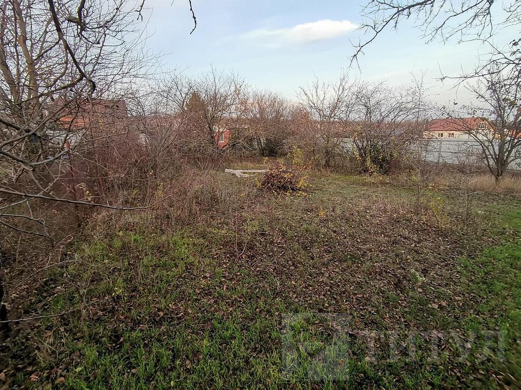 домрайон Фото 18