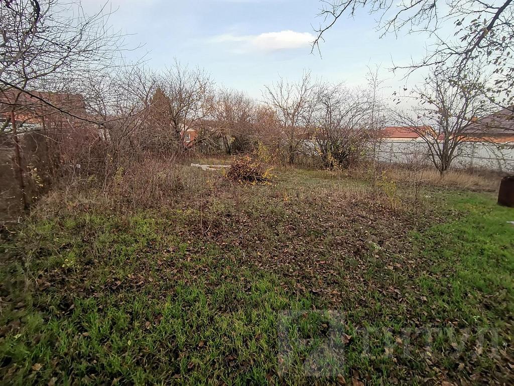 домрайон Фото 17