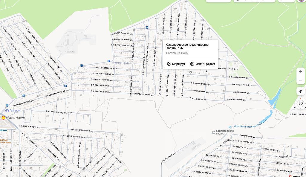 домрайон Фото 2