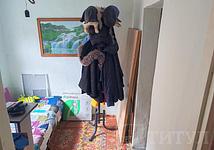 Thumb medium 7ab656c4a6d9e58336ea8219a6f6692b