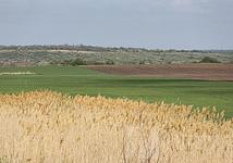 Thumb medium 4cc8df98d2cde5c27bbfbfd8e9eece34