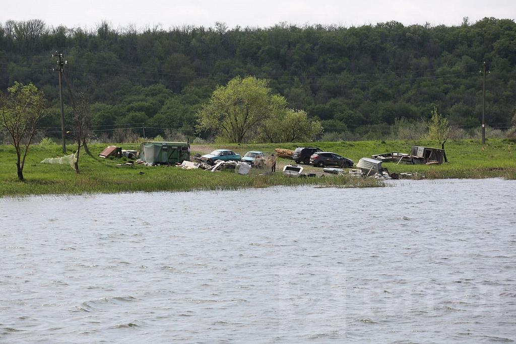 домрайон  Фото 4