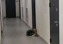 Thumb medium be0a64e97c421d0116f8094ec05510c1