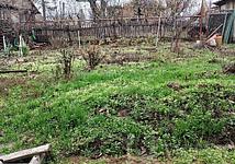 Thumb medium 01c1d4214b160d144d2889a12f78748c