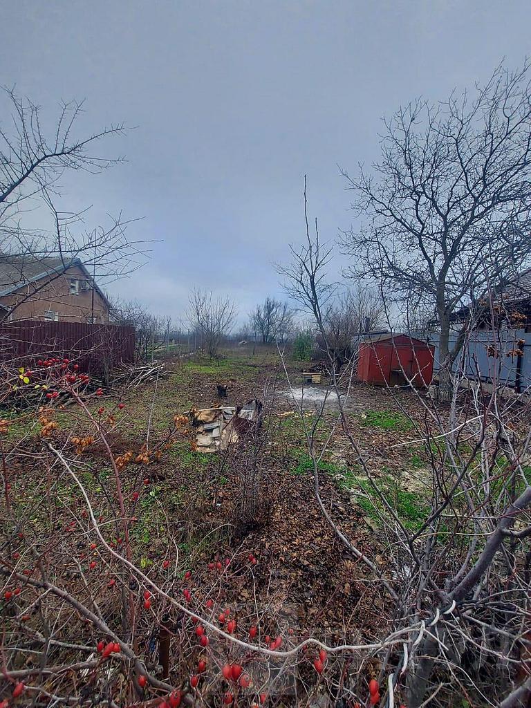 домрайон  Фото 5