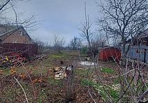 Thumb medium 37375b6124057e0624b721ec107ebff3