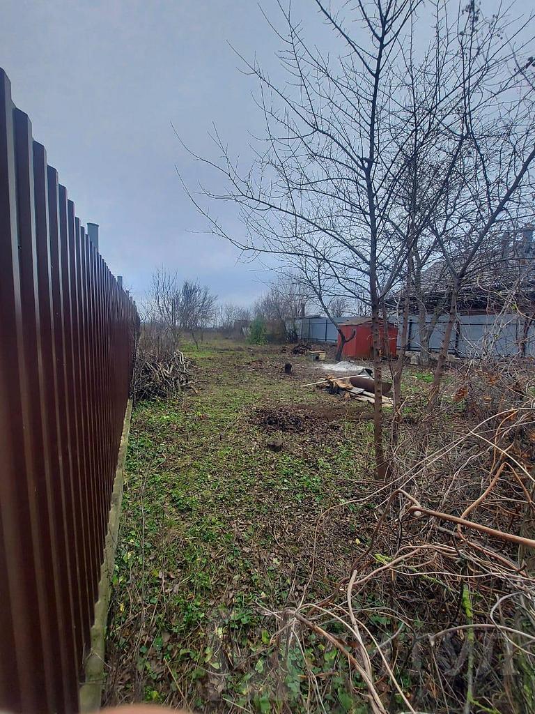 домрайон  Фото 4