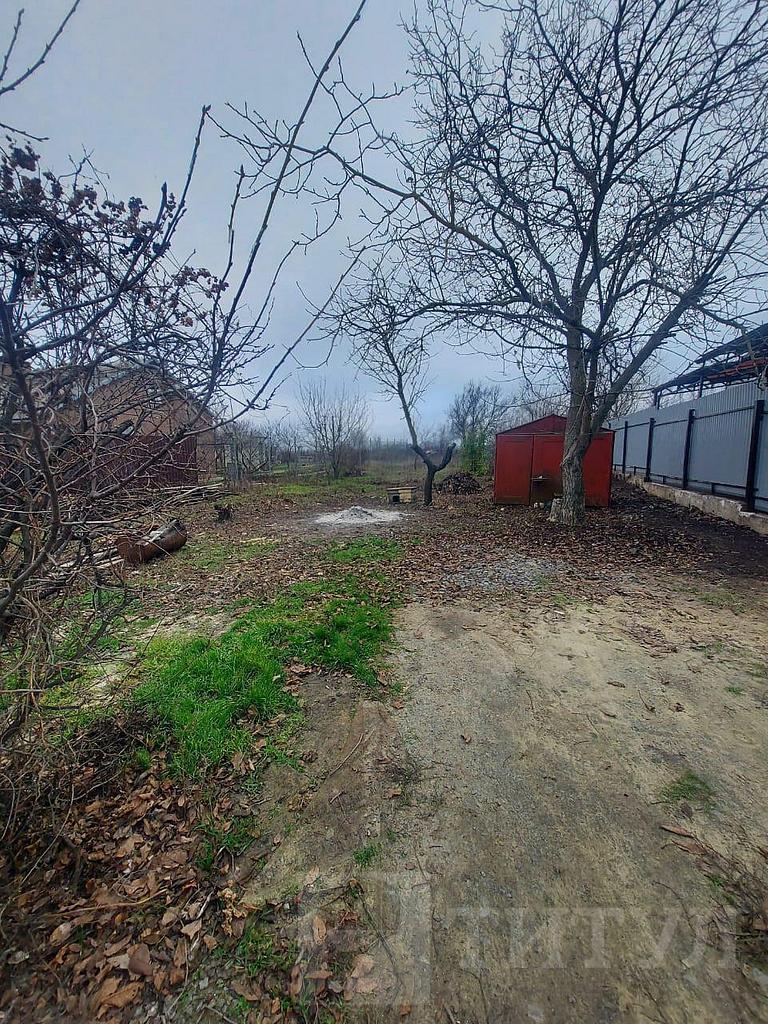 домрайон  Фото 3