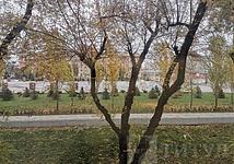 Thumb medium d33687c02c9eebad3ef807135f439072