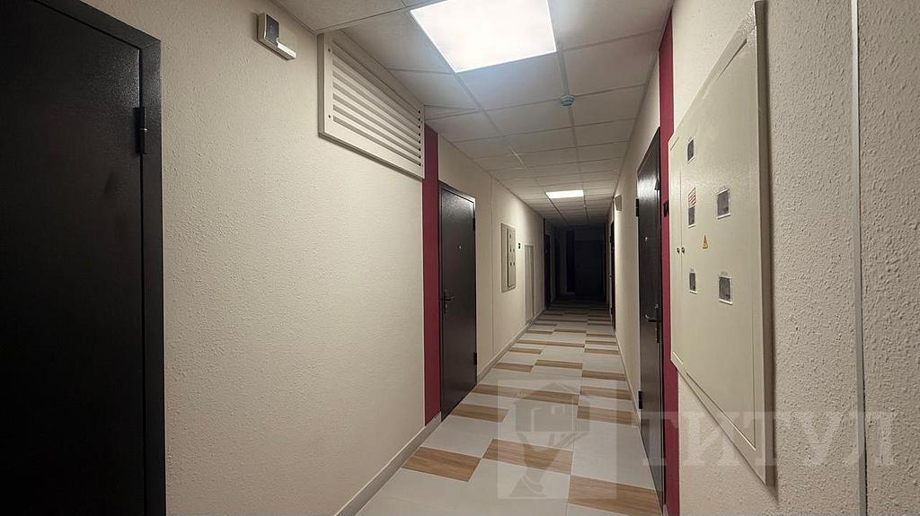 студия, район  Фото 6