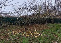 Thumb medium 6e551fd4e40fcd0caae714af75f6ac1e