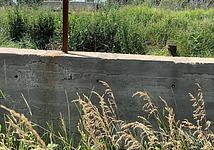 Thumb medium 9d37c86e1d26aee8066523744d1f91bd