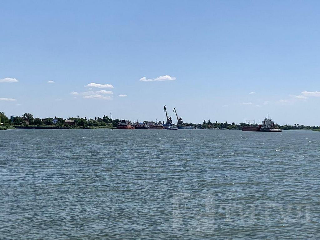 домрайон  Фото 3